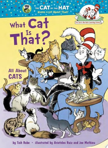 What Cat Is That? All About Cats