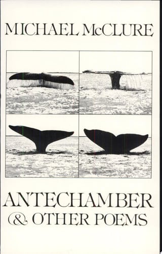 Antechamber, & Other Poems