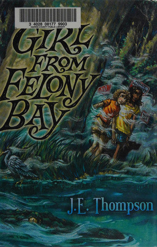 The Girl from Felony Bay (Felony Bay Mysteries, 1)