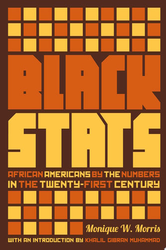 Black Stats: African Americans by the Numbers in the Twenty-first Century