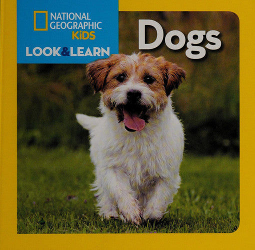 Dogs