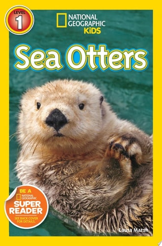 Sea Otters