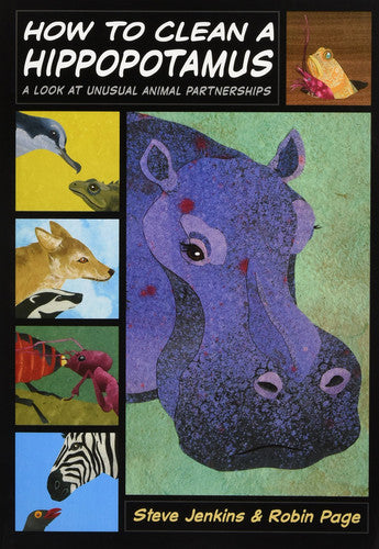 How to Clean a Hippopotamus: A Look at Unusual Animal Partnerships