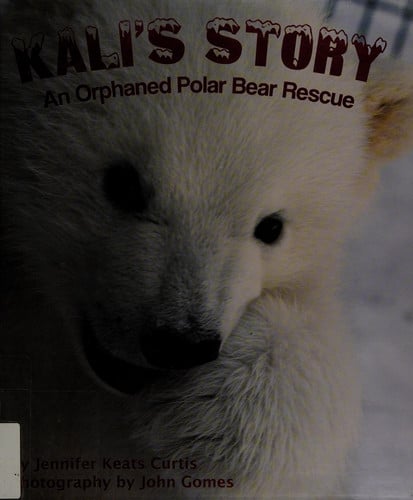 Kali's Story: An Orphaned Polar Bear Rescue