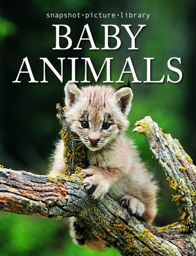 Baby Animals