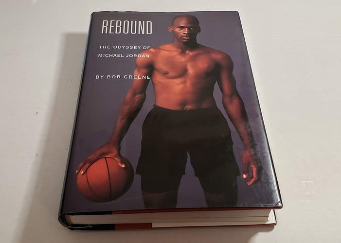 Rebound The Odyssey of Michael Jordan
