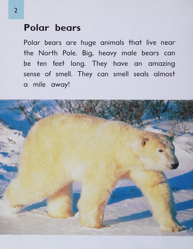 Polar Bears (Pms) (Rigby PM Collection)
