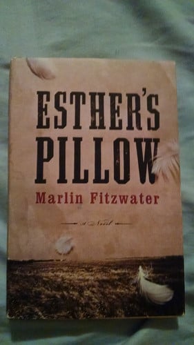 Esther's Pillow: A Novel