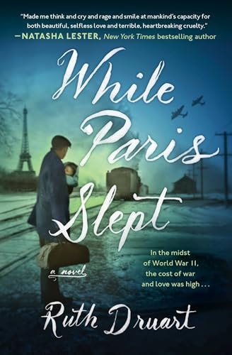 While Paris Slept A Novel