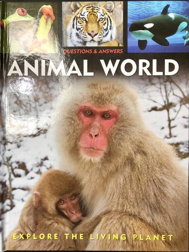 Animal World: Explore the Living Planet Questions & Answers