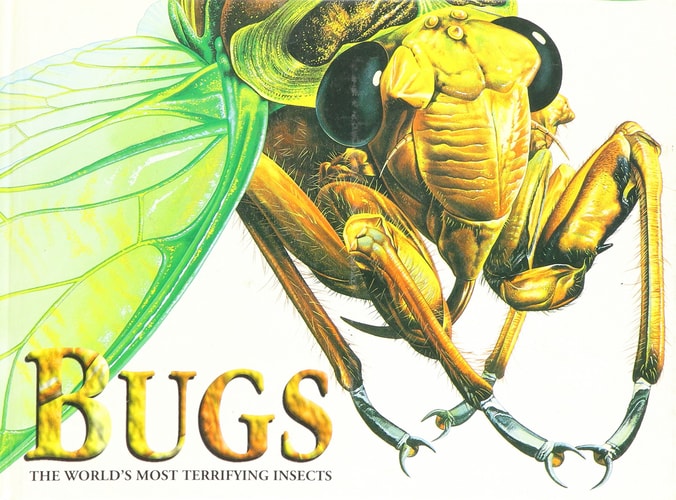 Bugs