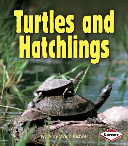 Turtles and Hatchlings (First Step Nonfiction ? Animal Families)
