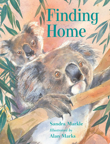 Finding Home