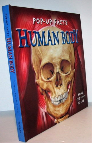 Human Body Bring the Body to Life