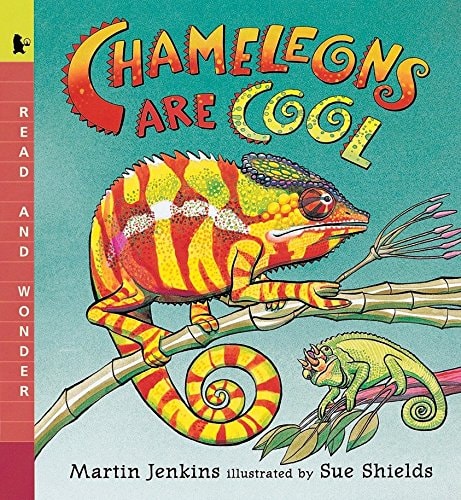 Chameleons Are Cool Read and Wonder
