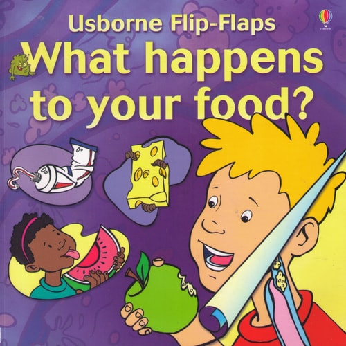 What Happens to Your Food?