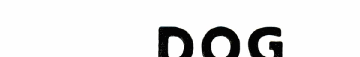 Dog