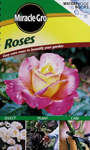 Miracle Gro Roses Easy-Care Roses to Beautify Your Garden