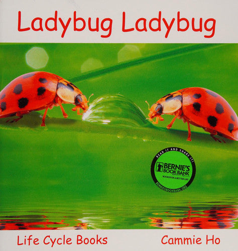 Ladybug Ladybug (Life Cycle Books)