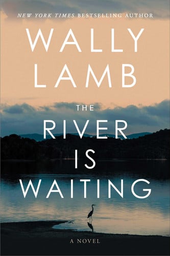 The River Is Waiting (Oprah's Book Club) A Novel