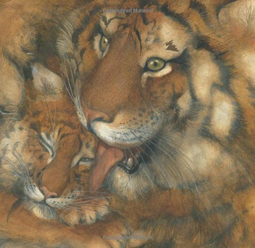 Little Lost Tiger