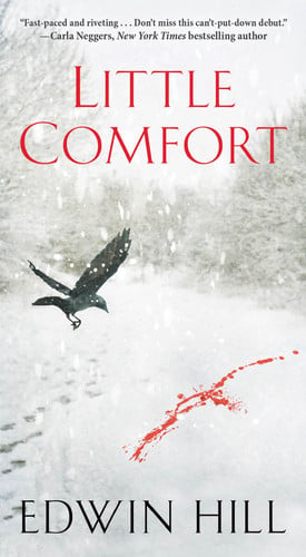 Little Comfort (A Hester Thursby Mystery)