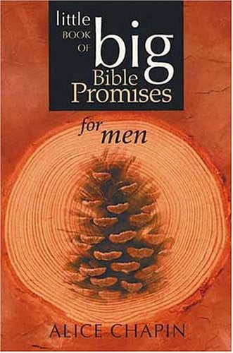 The Little Book of Big Bible Promises for Men