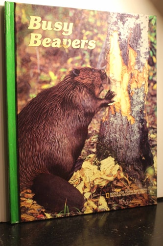 Busy Beavers