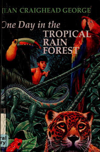 One Day in the Tropical Rain Forest
