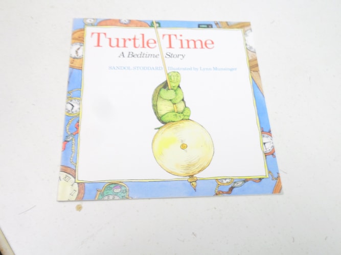 Turtle Time