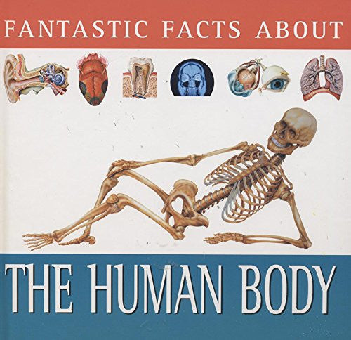 Fantastic facts about the human body