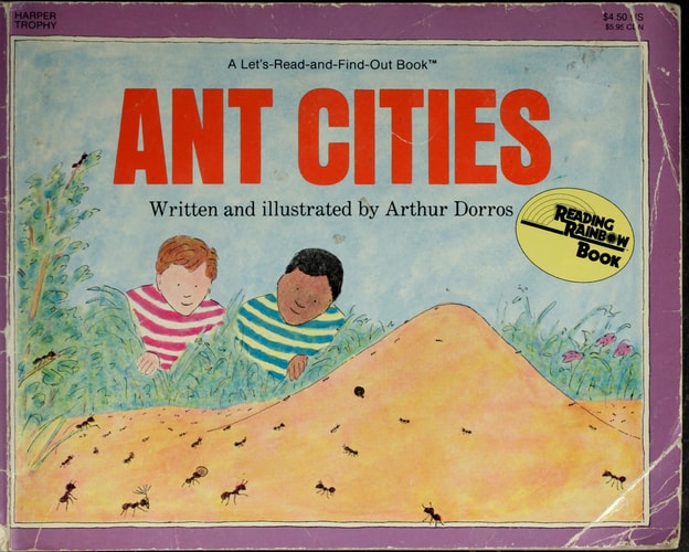 Ant Cities
