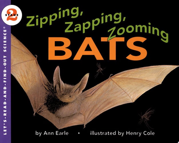 Zipping, Zapping, Zooming Bats