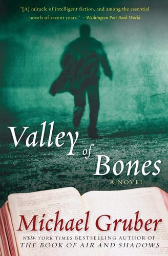 Valley of Bones: A Novel (Jimmy Paz, 2)
