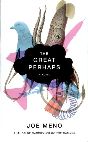 The Great Perhaps: A Novel
