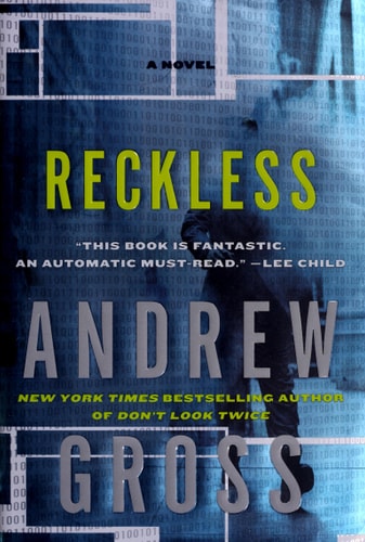 Reckless: A Novel