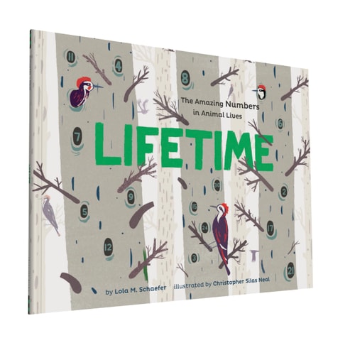 Lifetime The Amazing Numbers in Animal Lives