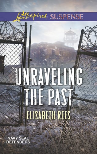 Unraveling the Past (Navy SEAL Defenders, 4)