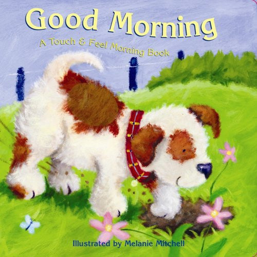 Good Morning: A Touch & Feel Morning Book