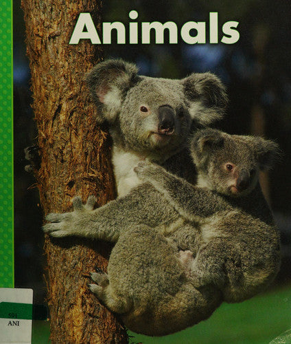Animals