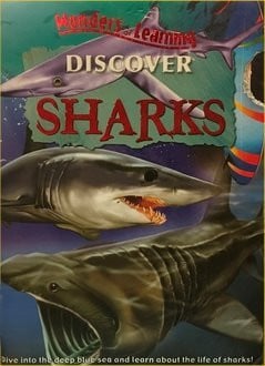 Discover Sharks