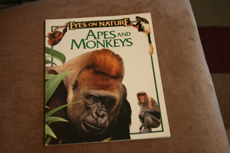 Apes and Monkeys