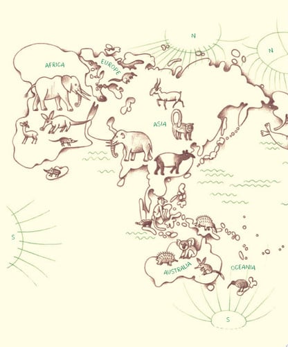 Genius Noses: A Curious Animal Compendium (Genius Animals)