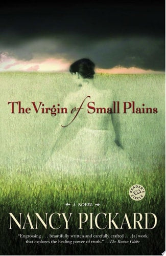 The Virgin of Small Plains: A Novel