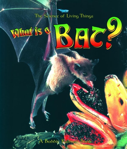 What Is a Bat? (Science of Living Things)