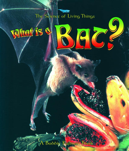 What Is a Bat? (Science of Living Things)