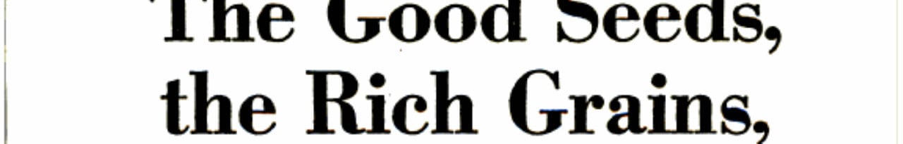 Good Seeds, the Rich Grains, The Hardy Nuts, for a Healthier, Happier Life