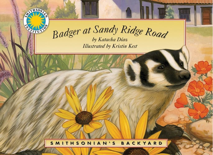 Badger At Sandy Ridge Road (Smithsonian Backyard)