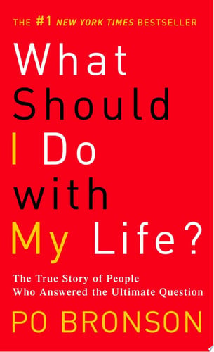 What Should I Do with My Life?: The True Story of People Who Answered the Ultimate Question