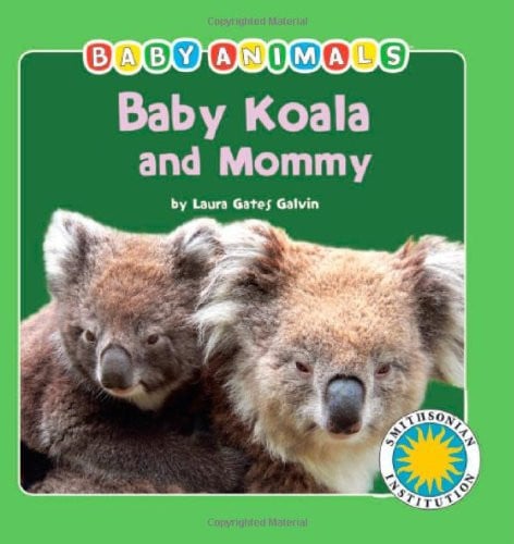 Baby Koala and Mommy (Baby Animals)